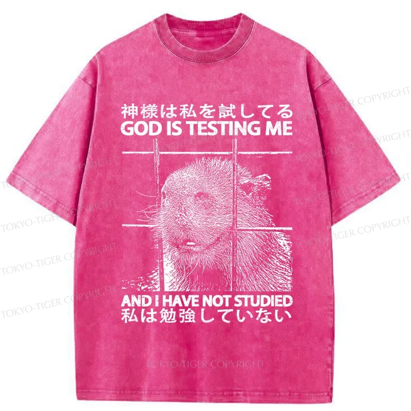 Tokyo-Tiger God Is Testing Me Washed T-Shirt