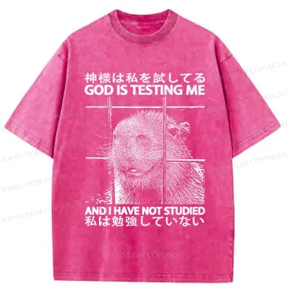 Tokyo-Tiger God Is Testing Me Washed T-Shirt