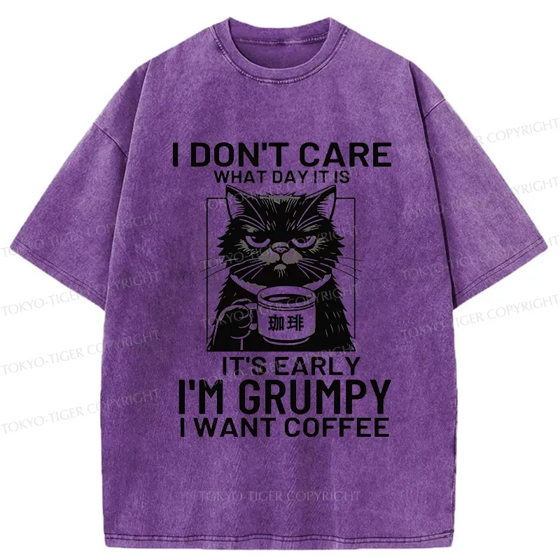 Tokyo-Tiger Funny Grumpy Cat Washed T-Shirt