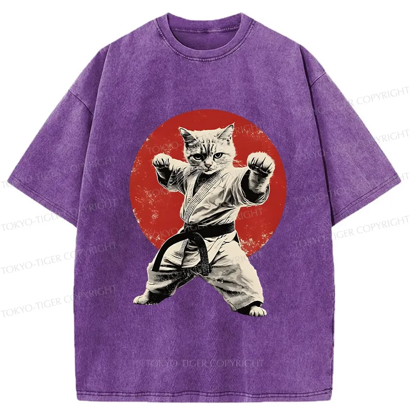 Tokyo-Tiger Japanese Karate Cat Washed T-Shirt