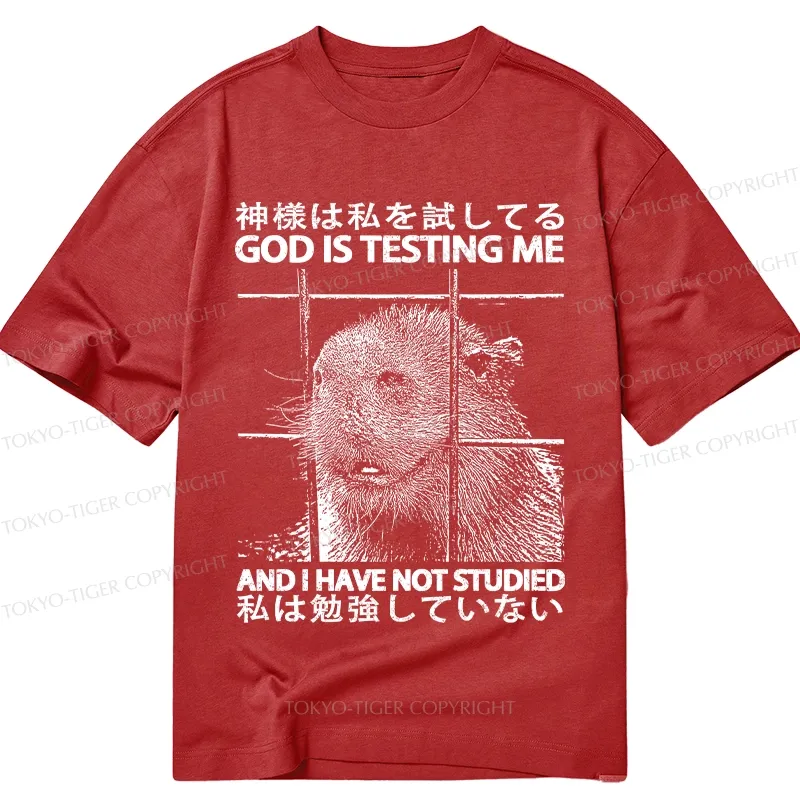 Tokyo-Tiger God Is Testing Me Classic T-Shirt Sale