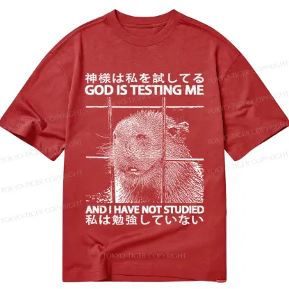 Tokyo-Tiger God Is Testing Me Classic T-Shirt