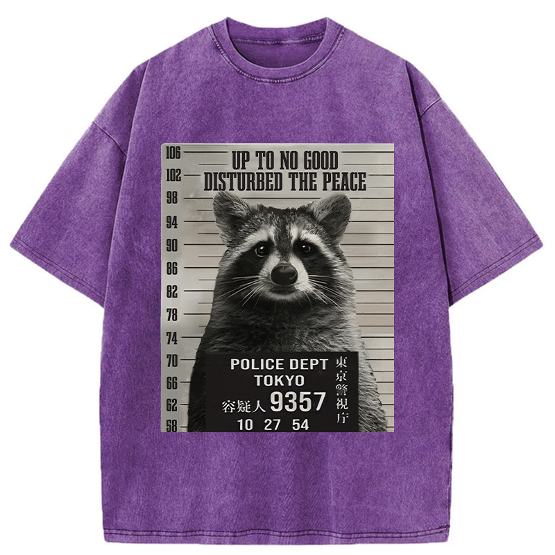 Tokyo-Tiger Arrested Raccoon Washed T-Shirt