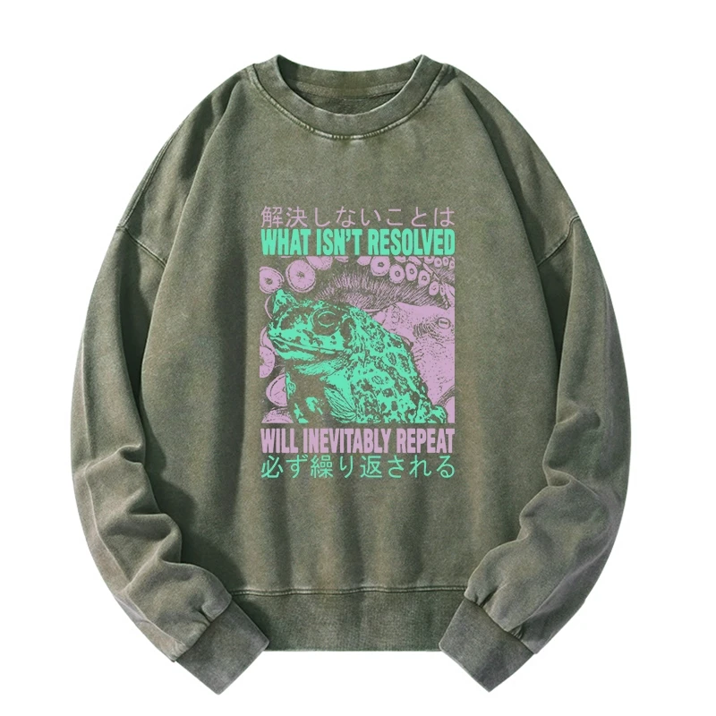 Tokyo-Tiger What Ist Resolved Forg Washed Sweatshirt