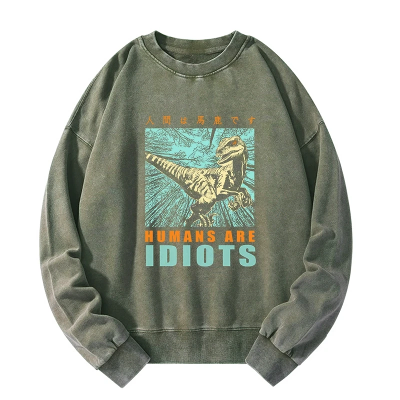 Tokyo-Tiger Mocking Dinosaurs Japanese Washed Sweatshirt