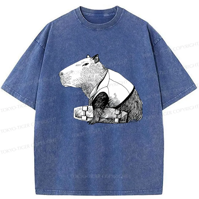 Tokyo-Tiger Funny Capybara Skateboard Washed T-Shirt