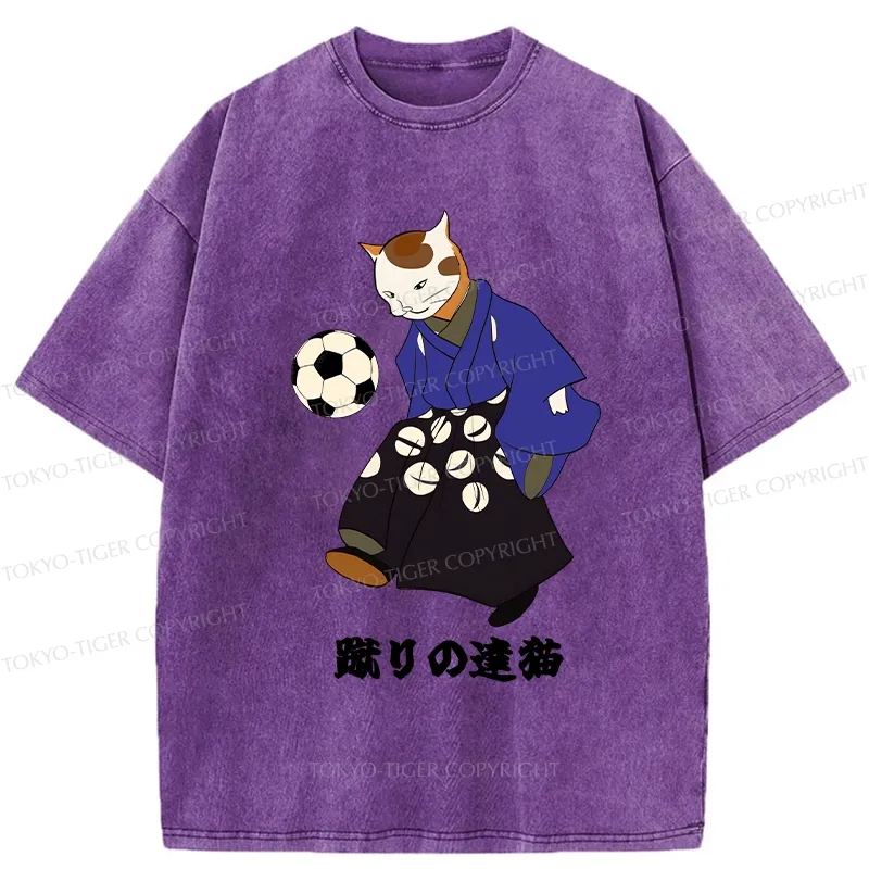 Tokyo-Tiger Cat Playing Football Washed T-Shirt