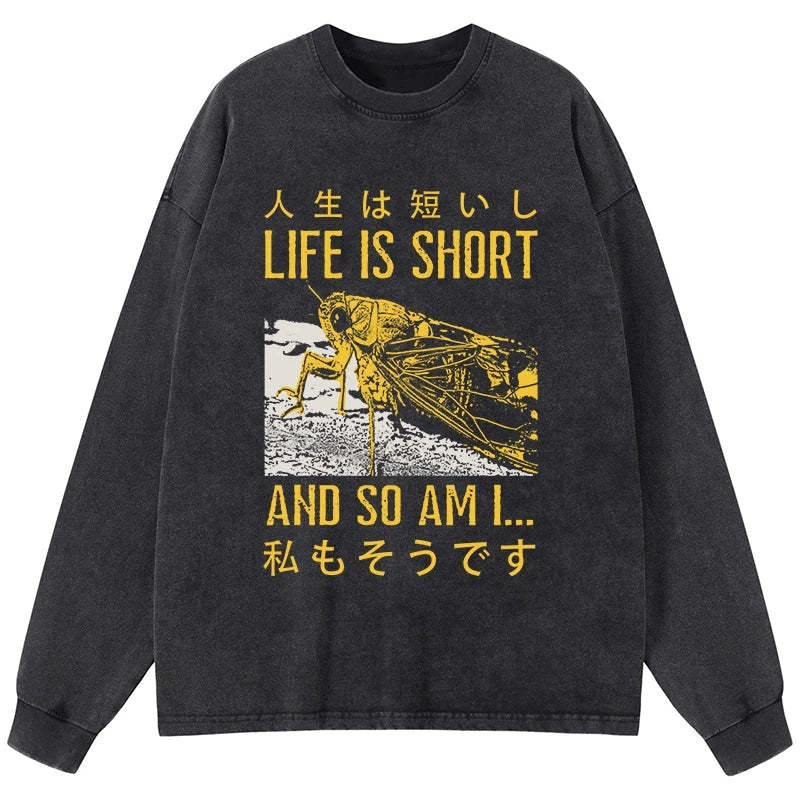 Tokyo-Tiger A Grasshopper With A Short Life Washed Long Sleeve T-Shirt Sale