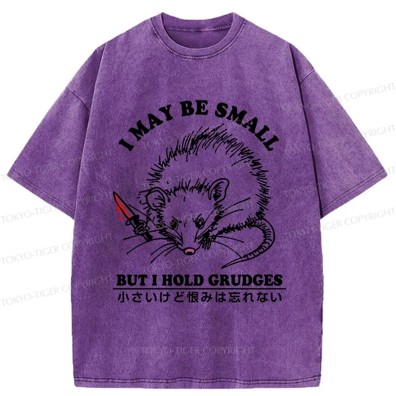 Tokyo-Tiger Mouse Holds A Grudge Funny Washed T-Shirt