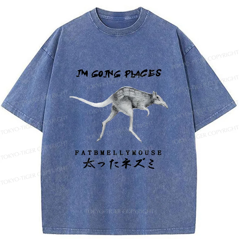 Tokyo-Tiger Long-Legged Mouse Washed T-Shirt