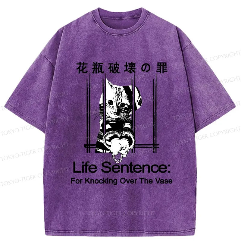 Tokyo-Tiger The Sin Of Vase Breaking Funny Washed T-Shirt