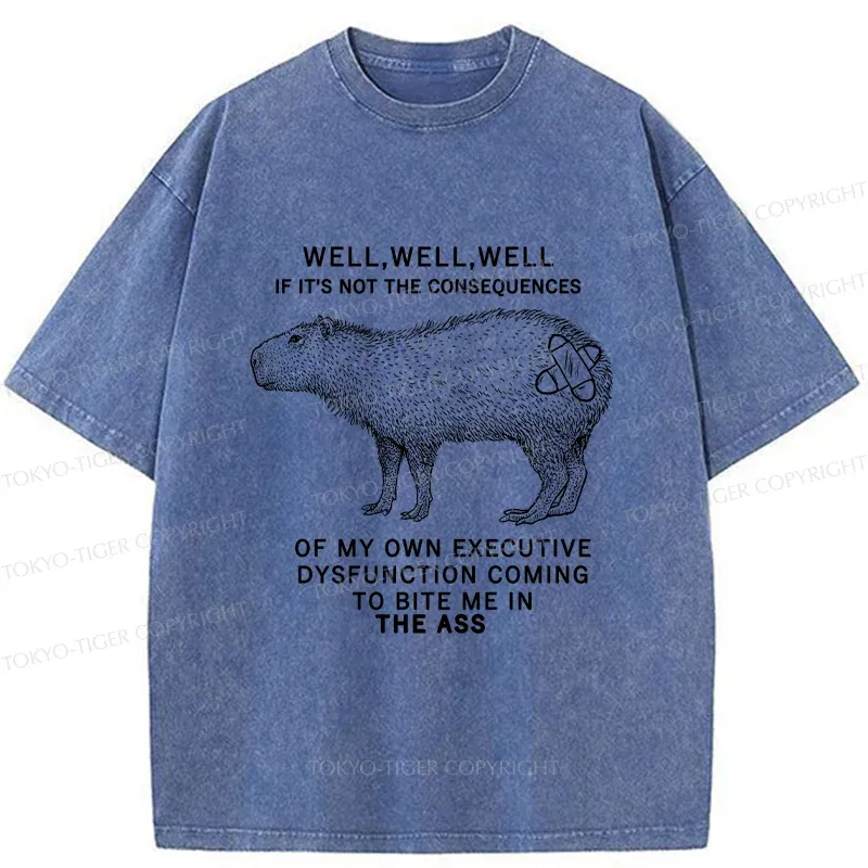 Tokyo-Tiger Stupid Capybara Washed T-Shirt