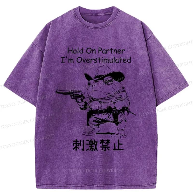 Tokyo-Tiger Overstimulated Frog Washed T-Shirt