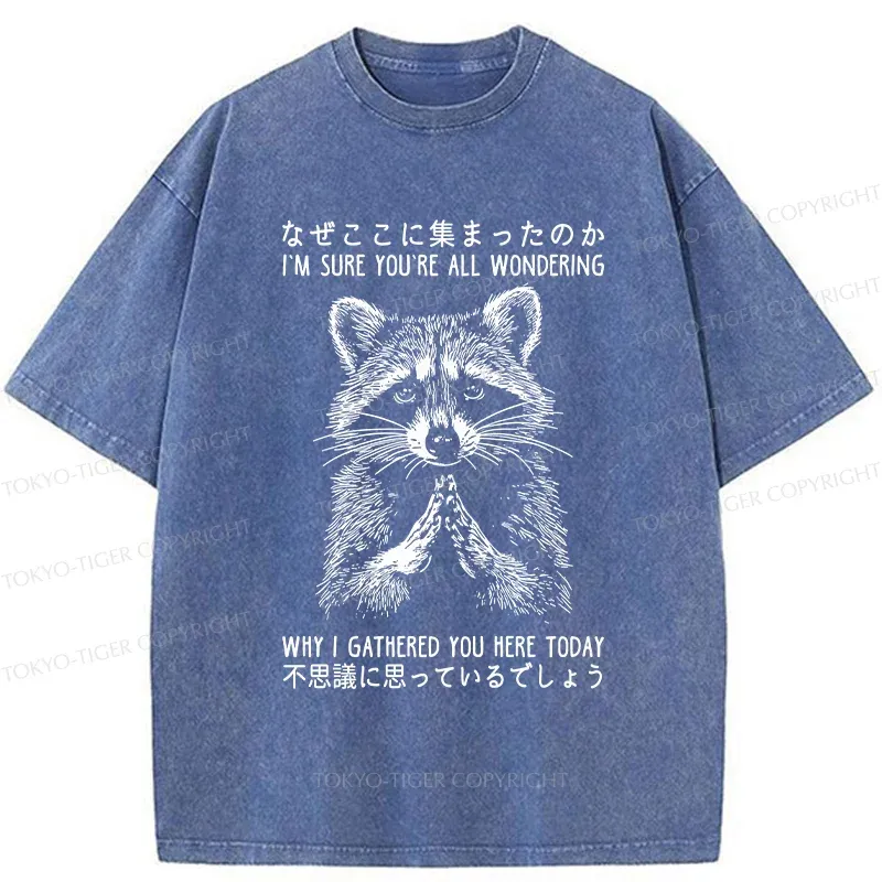 Tokyo-Tiger Something's Going On Raccoon Washed T-Shirt