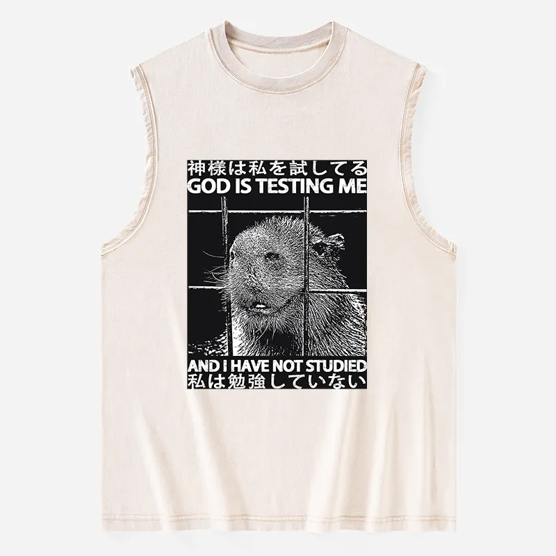 Tokyo-Tiger God Is Testing Me Washed Tank