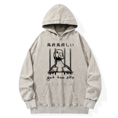 Tokyo-Tiger Got Too Silly Washed Hoodie