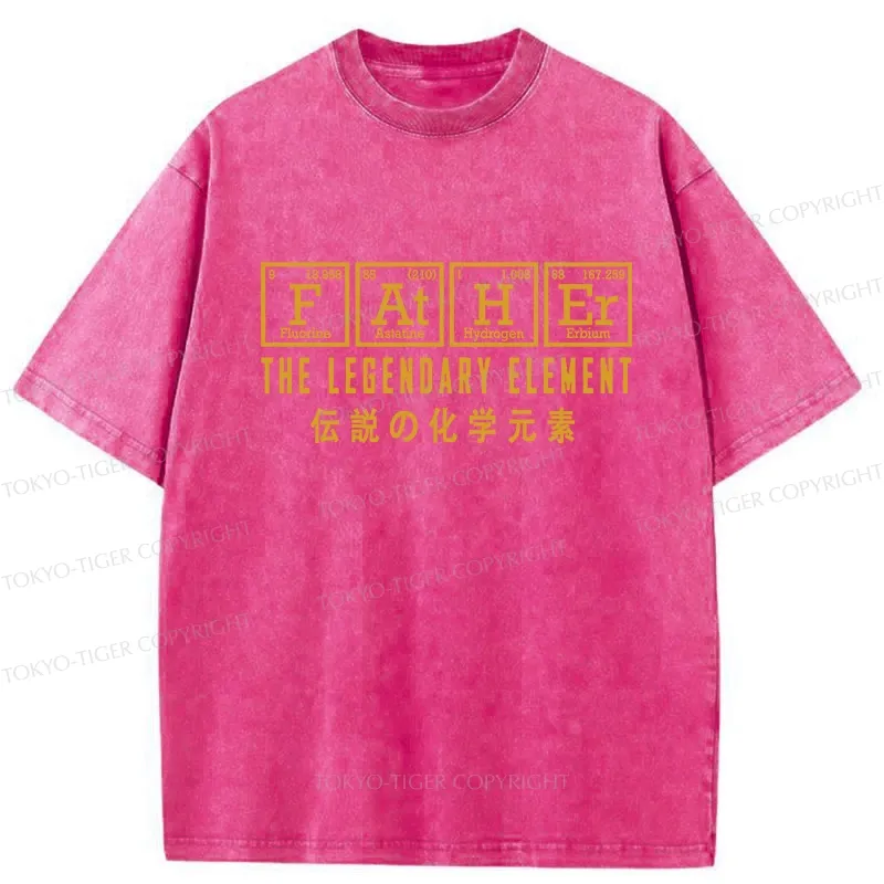 Tokyo-Tiger Funny Father Chemical Element Washed T-Shirt