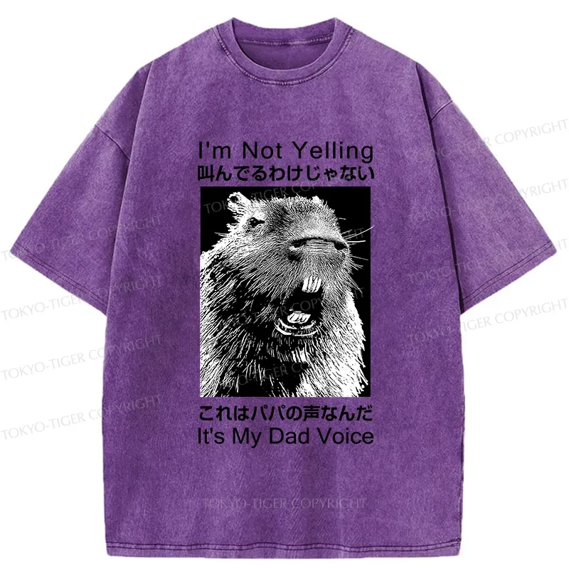 Tokyo-Tiger Funny Dad Voice Washed T-Shirt