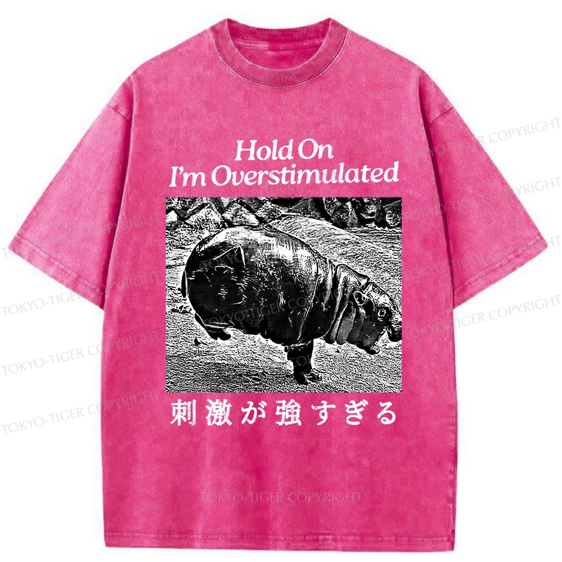 Tokyo-Tiger Overstimulated Moo Deng Washed T-Shirt