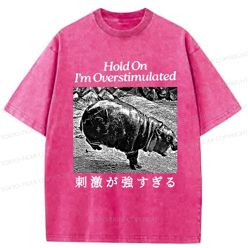 Tokyo-Tiger Overstimulated Moo Deng Washed T-Shirt