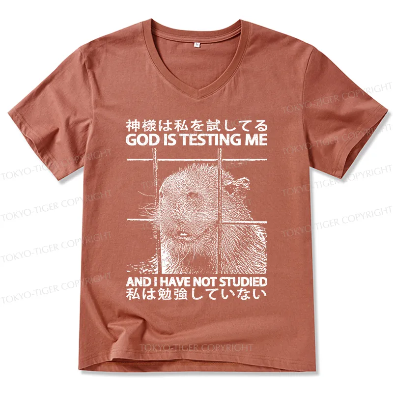 Tokyo-Tiger God Is Testing Me V-Neck Classic T-Shirt