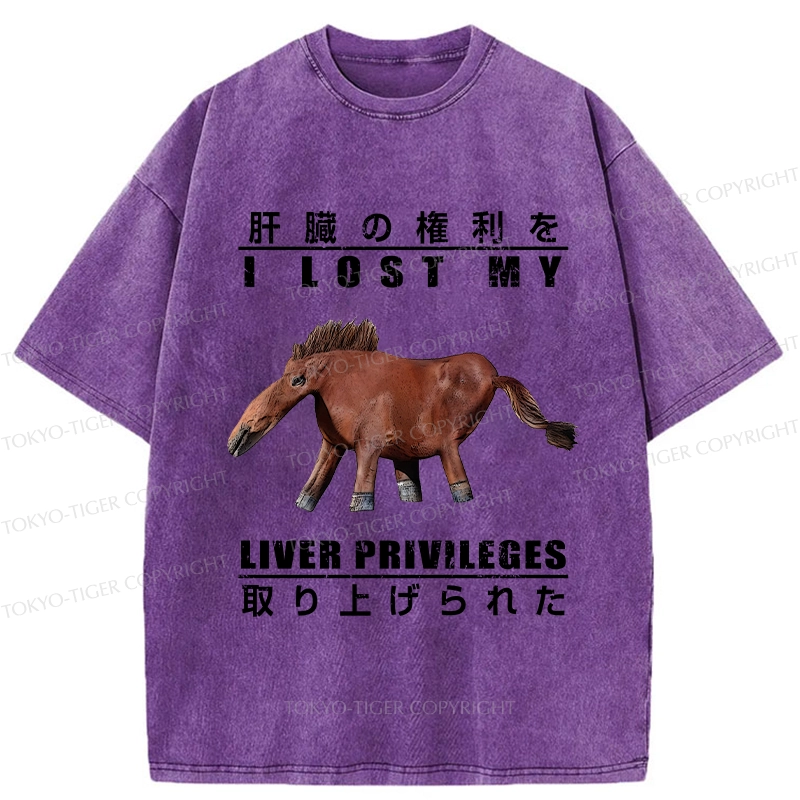 Tokyo-Tiger I Lost My Liver Privileges Washed T-Shirt