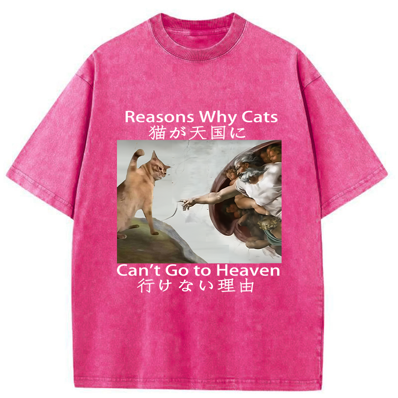 Tokyo-Tiger Naughty Cat Can't Go To Heaven Washed T-Shirt