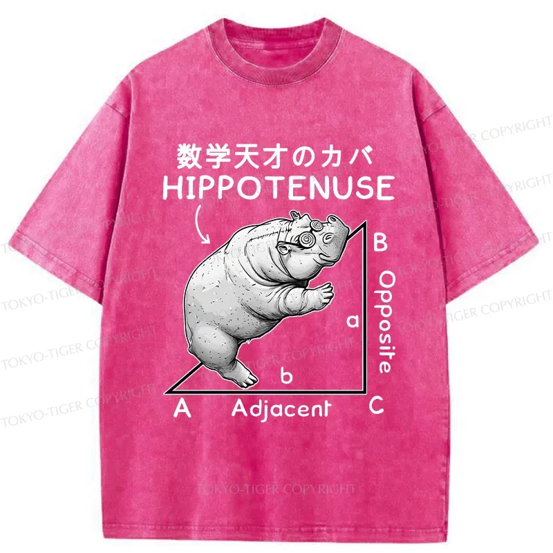 Tokyo-Tiger Mathematical Genius Hippo Washed T-Shirt