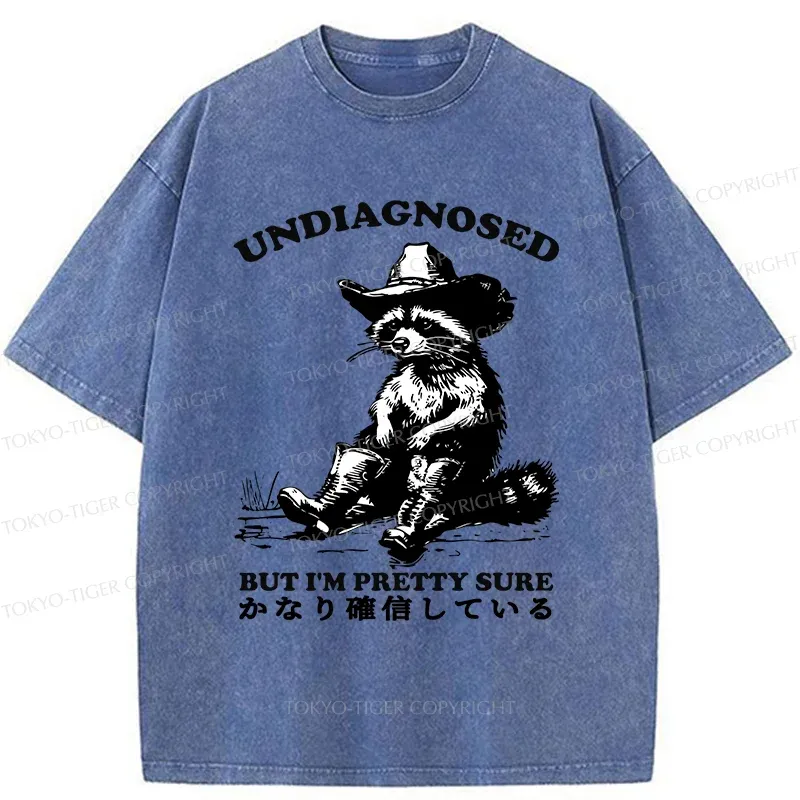 Tokyo-Tiger Confirmed Raccoon Washed T-Shirt