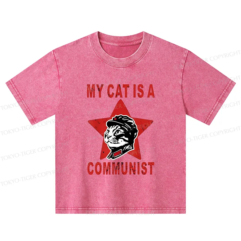 Tokyo-Tiger Funny Cat-ism Kids Washed T-Shirt