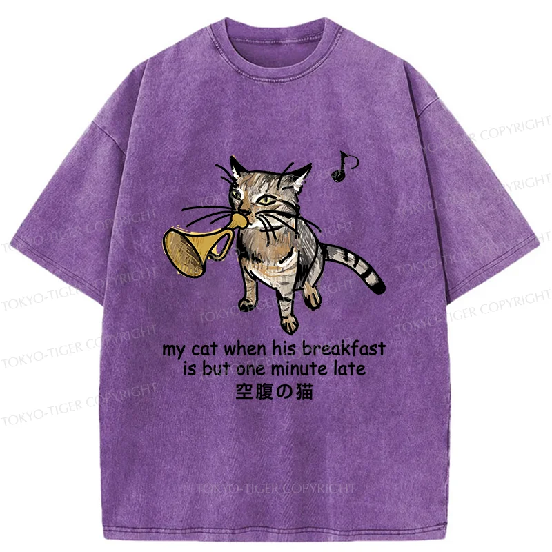 Tokyo-Tiger Cat Blowing Trumpet Washed T-Shirt