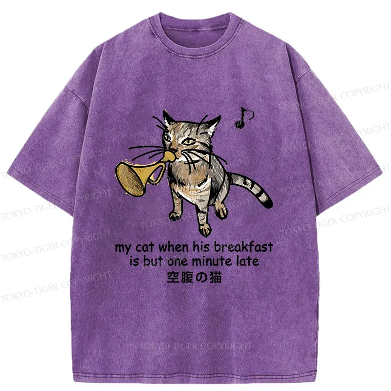 Tokyo-Tiger Cat Blowing Trumpet Washed T-Shirt