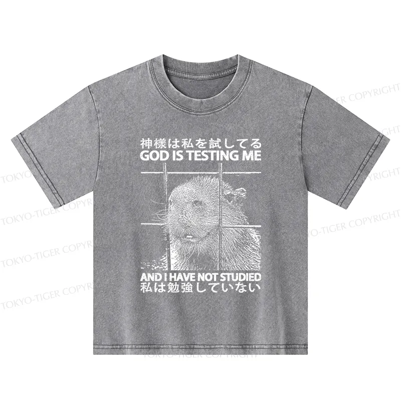 Tokyo-Tiger God Is Testing Me Kids Washed T-Shirt