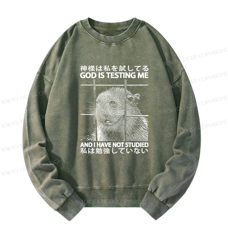 Tokyo-Tiger God Is Testing Me Washed Sweatshirt
