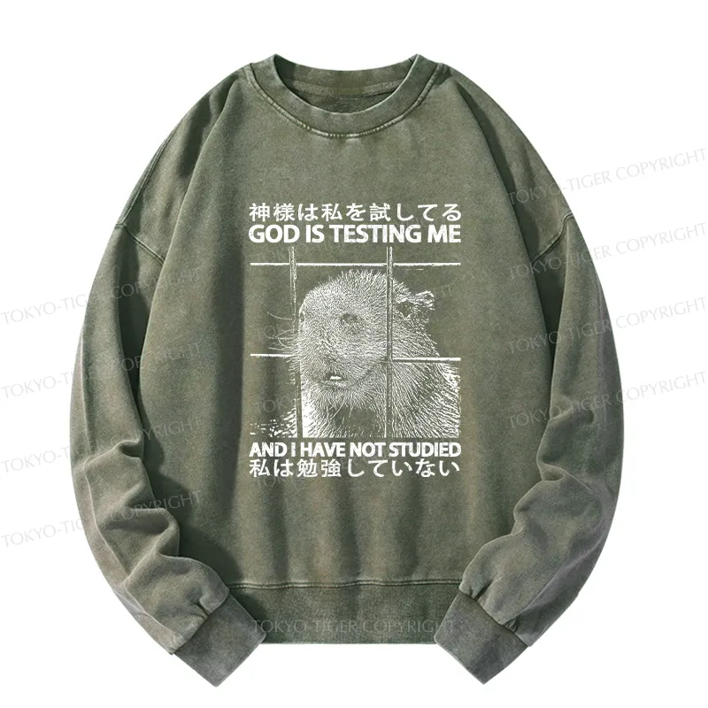 Tokyo-Tiger God Is Testing Me Washed Sweatshirt