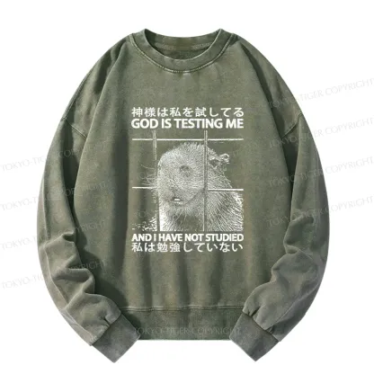 Tokyo-Tiger God Is Testing Me Washed Sweatshirt