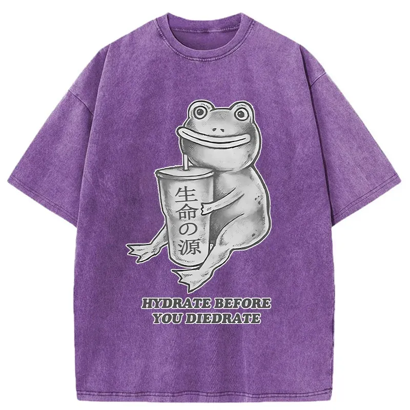 Tokyo-Tiger Hydrate Before You Diedrate Washed T-Shirt