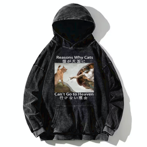 Image of Tokyo-Tiger Naughty Cat Can't Go To Heaven Washed Hoodie