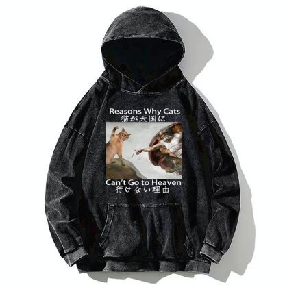 Tokyo-Tiger Naughty Cat Can't Go To Heaven Washed Hoodie