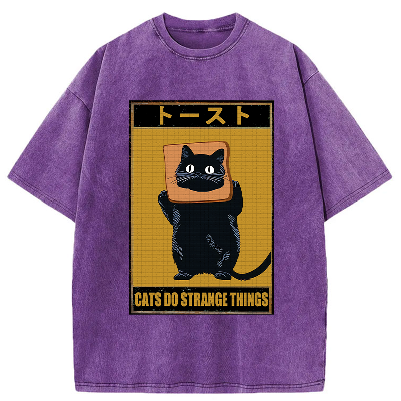 Tokyo-Tiger Toast Black Cat Washed T-Shirt