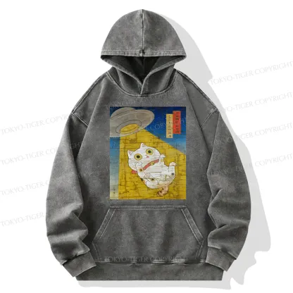 Tokyo-Tiger Funny Meow-FO Kidnapping Cat Washed Hoodie