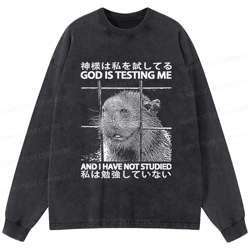 Tokyo-Tiger God Is Testing Me Washed Long Sleeve T-Shirt