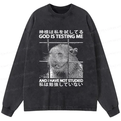 Tokyo-Tiger God Is Testing Me Washed Long Sleeve T-Shirt