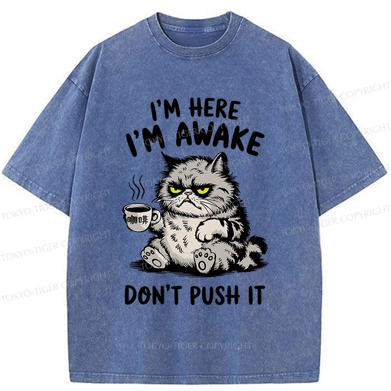 Tokyo-Tiger Tired Cat Washed T-Shirt
