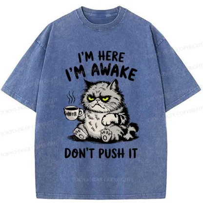 Tokyo-Tiger Tired Cat Washed T-Shirt