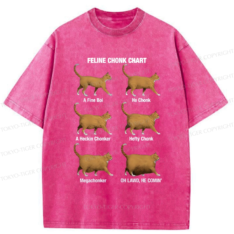 Tokyo-Tiger Feline Chonk Chart Washed T-Shirt