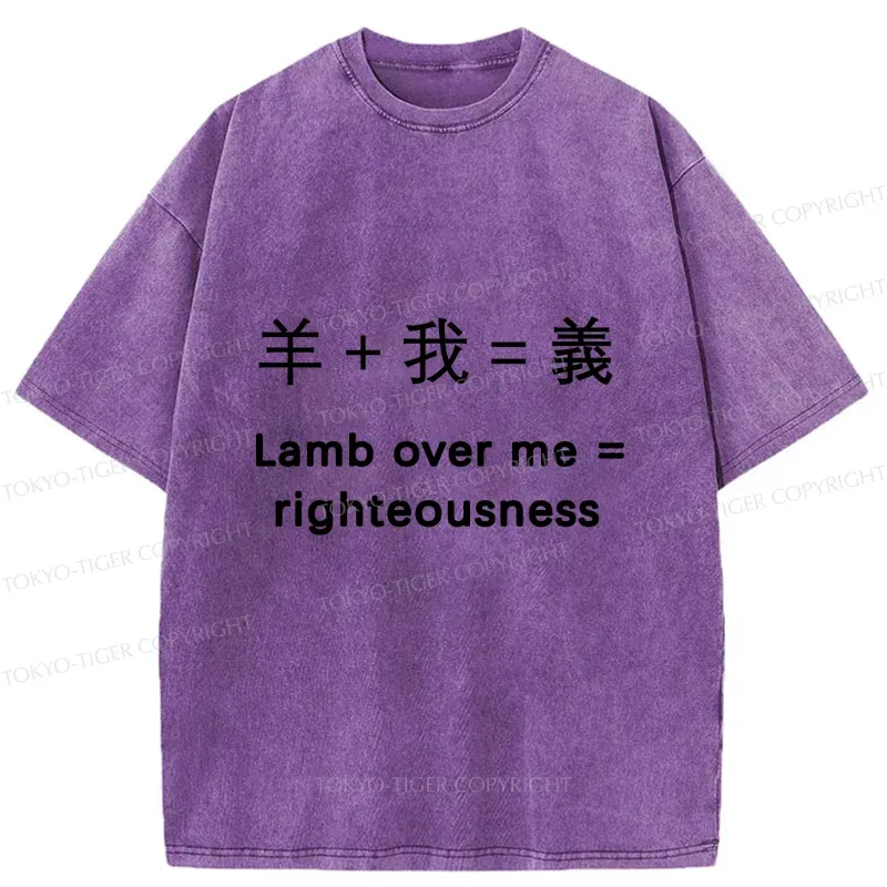 Tokyo-Tiger Constitution Of Justice Washed T-Shirt
