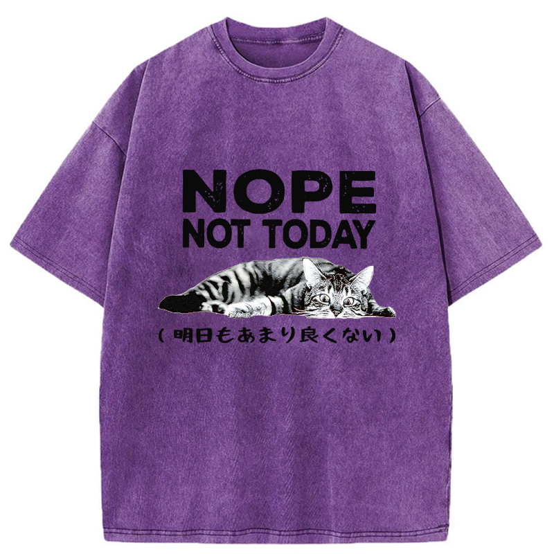Tokyo-Tiger Every Day Won't Be So Good Washed T-Shirt