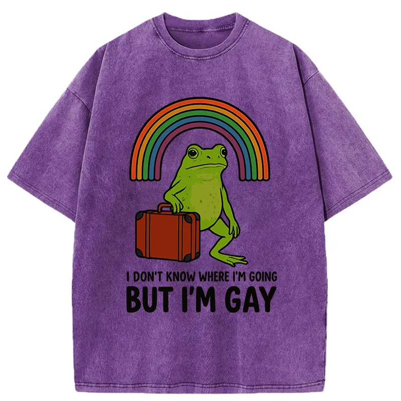 Tokyo-Tiger I Dont Know Frog Washed T-Shirt