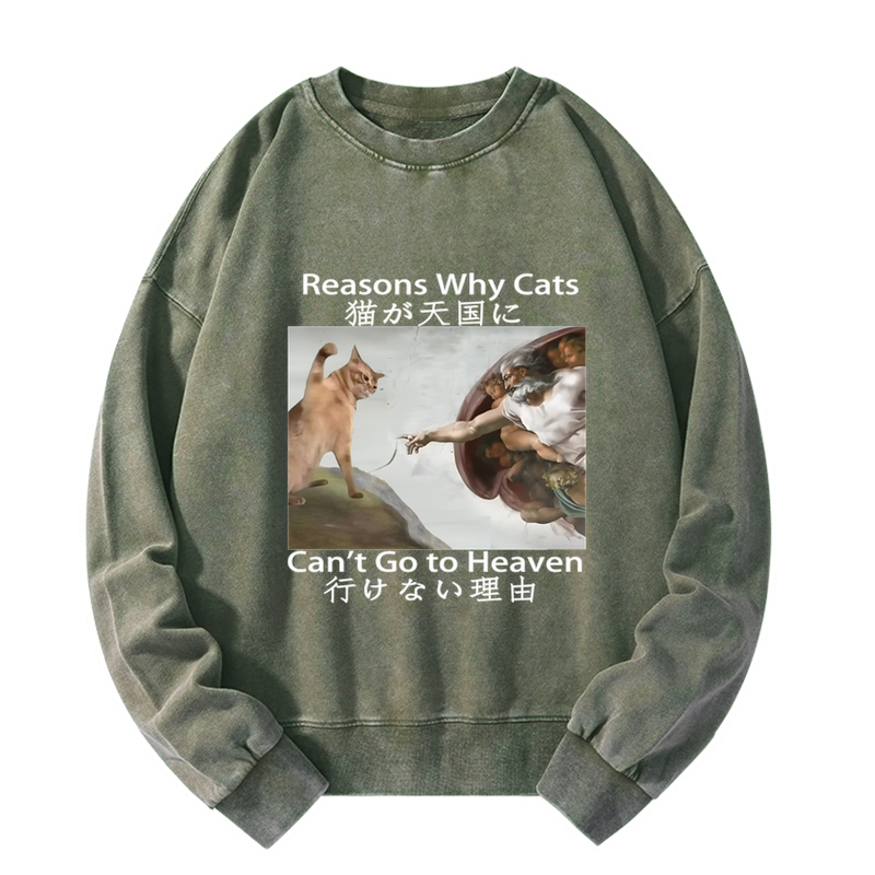 Tokyo-Tiger Naughty Cat Can't Go To Heaven Washed Sweatshirt